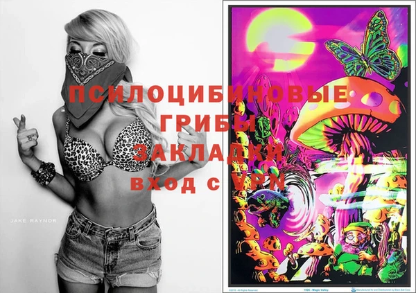 spice Баксан